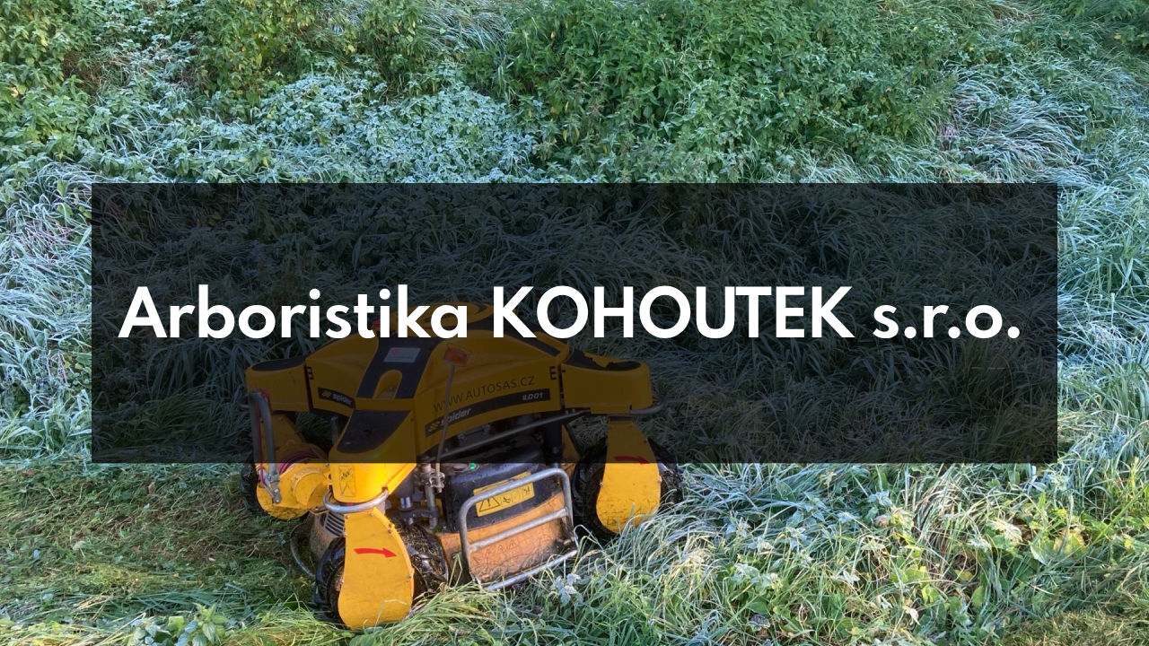 Arboristika KOHOUTEK s.r.o., Dolní Loučky