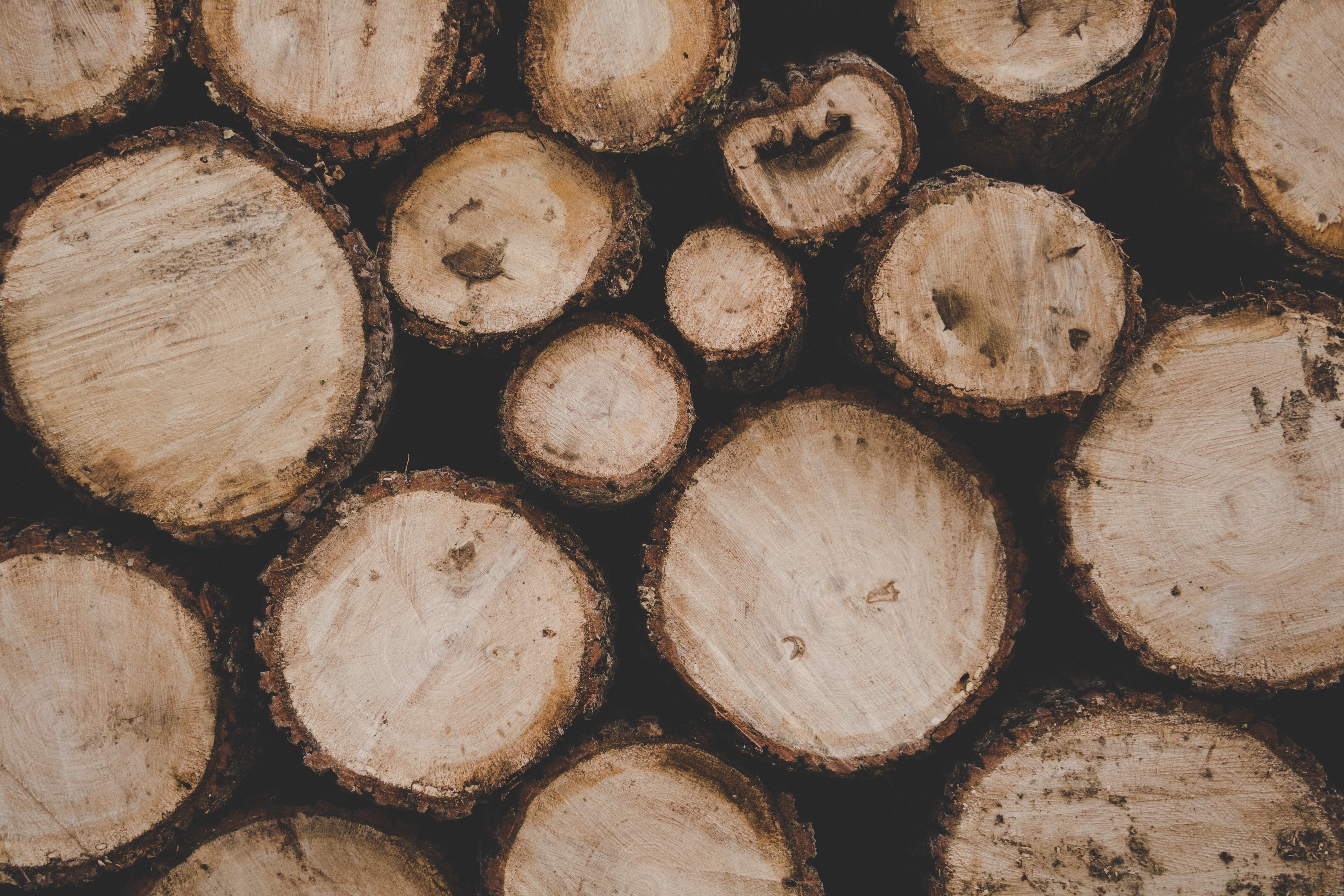 Řezání dřeva na míru: základ úspěšné výroby stavebního řeziva